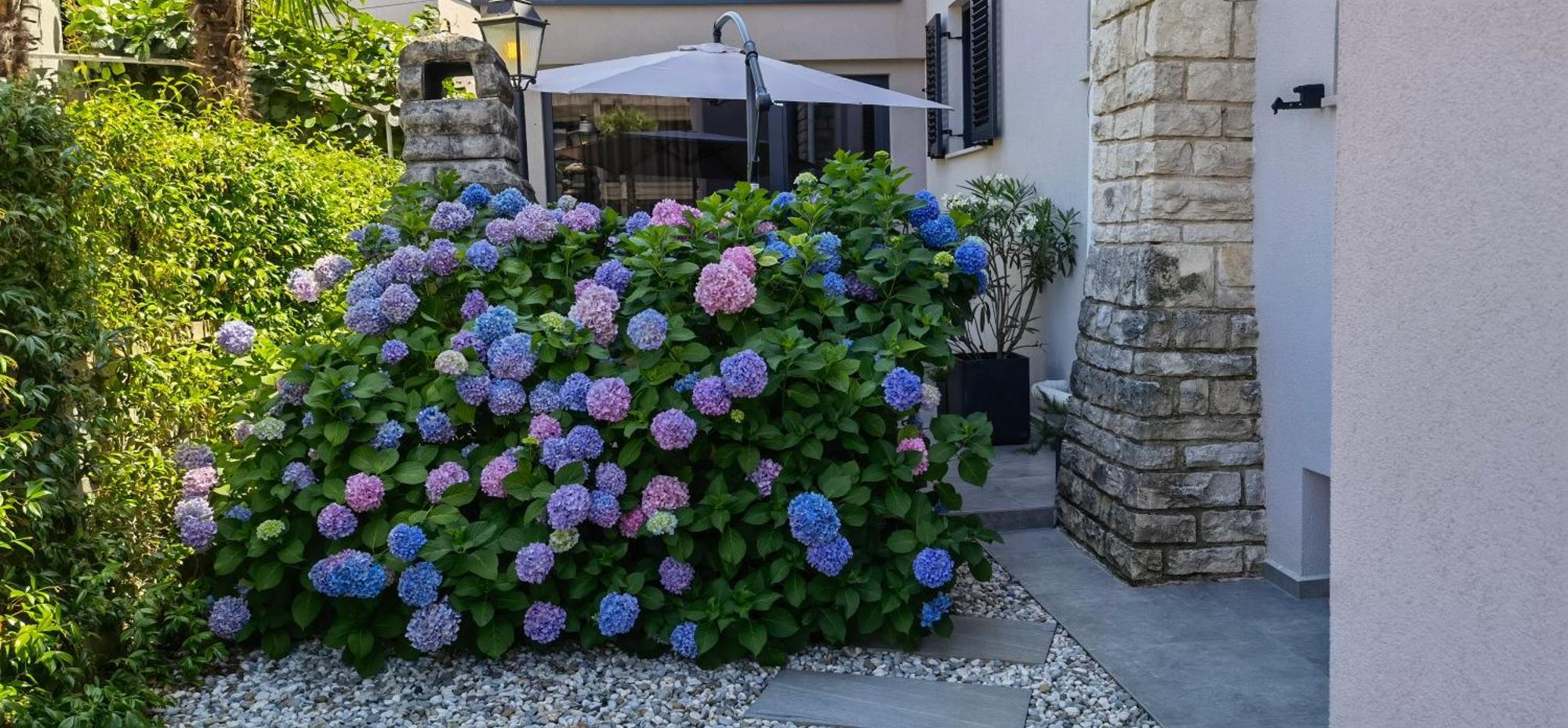 Stay In The Very Heart Of Porec - 50M To The Beach Poreč Exterior foto
